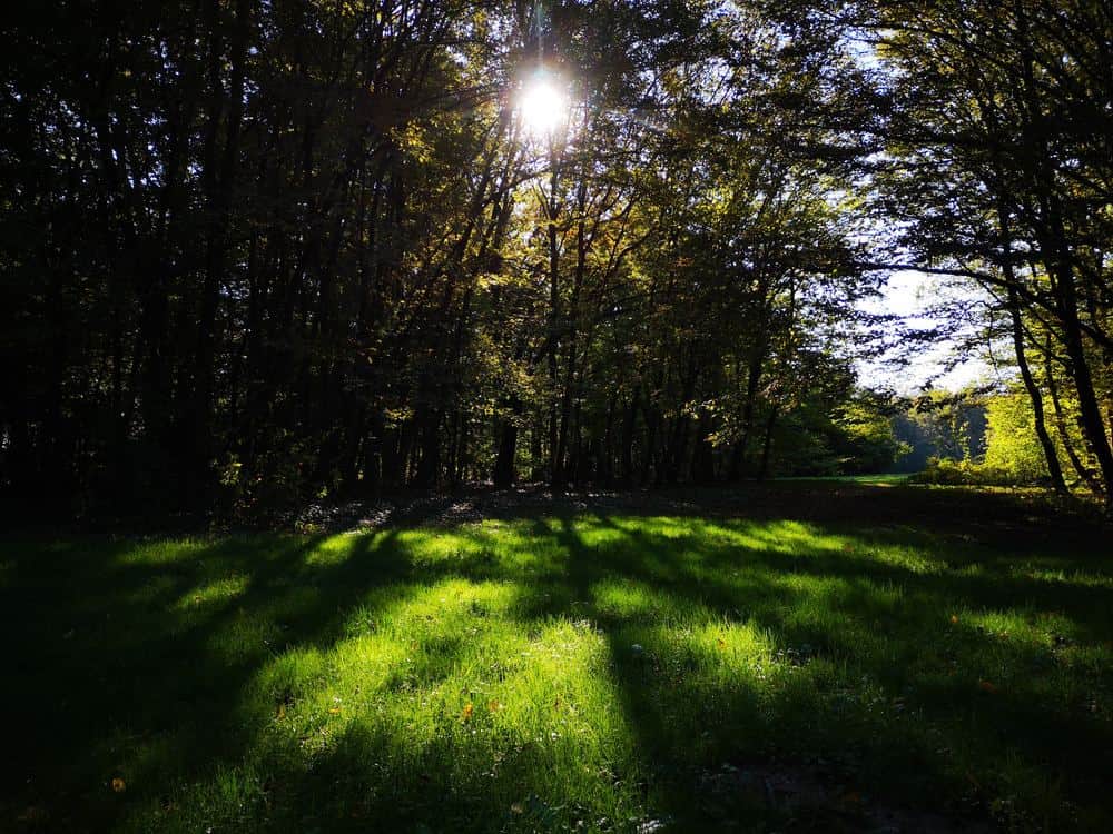 Park Maksimir: praktyczna półdniowa trasa przez zieloną oazę Zagrzebia