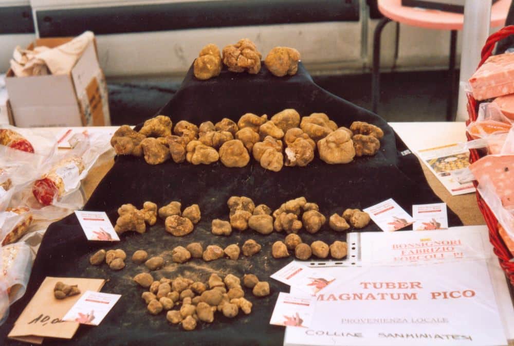 Zigante Truffle Days 2026
