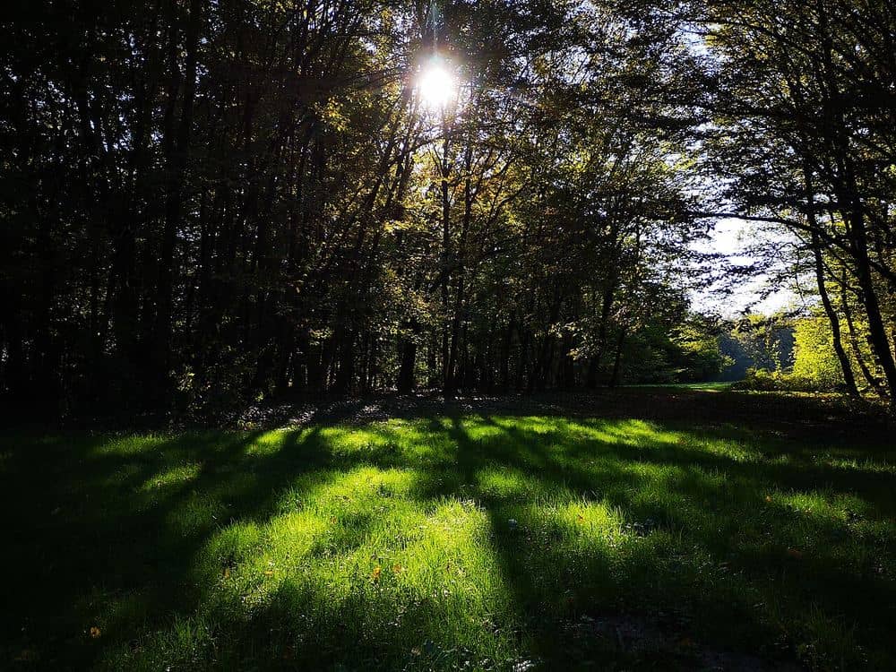 Park Maksimir