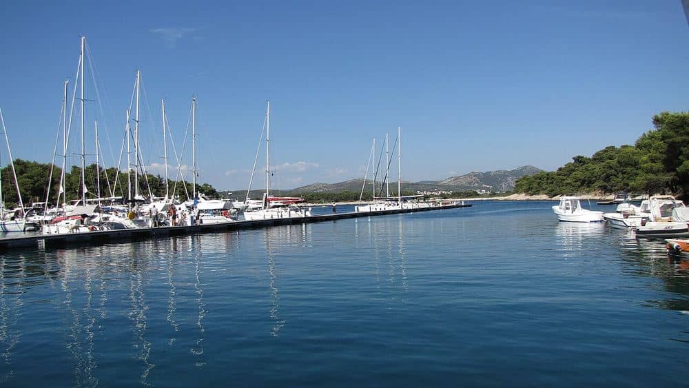 Palmižana Marina