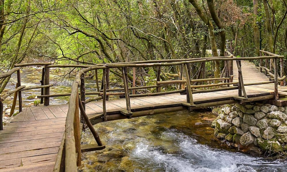 Ljuta River