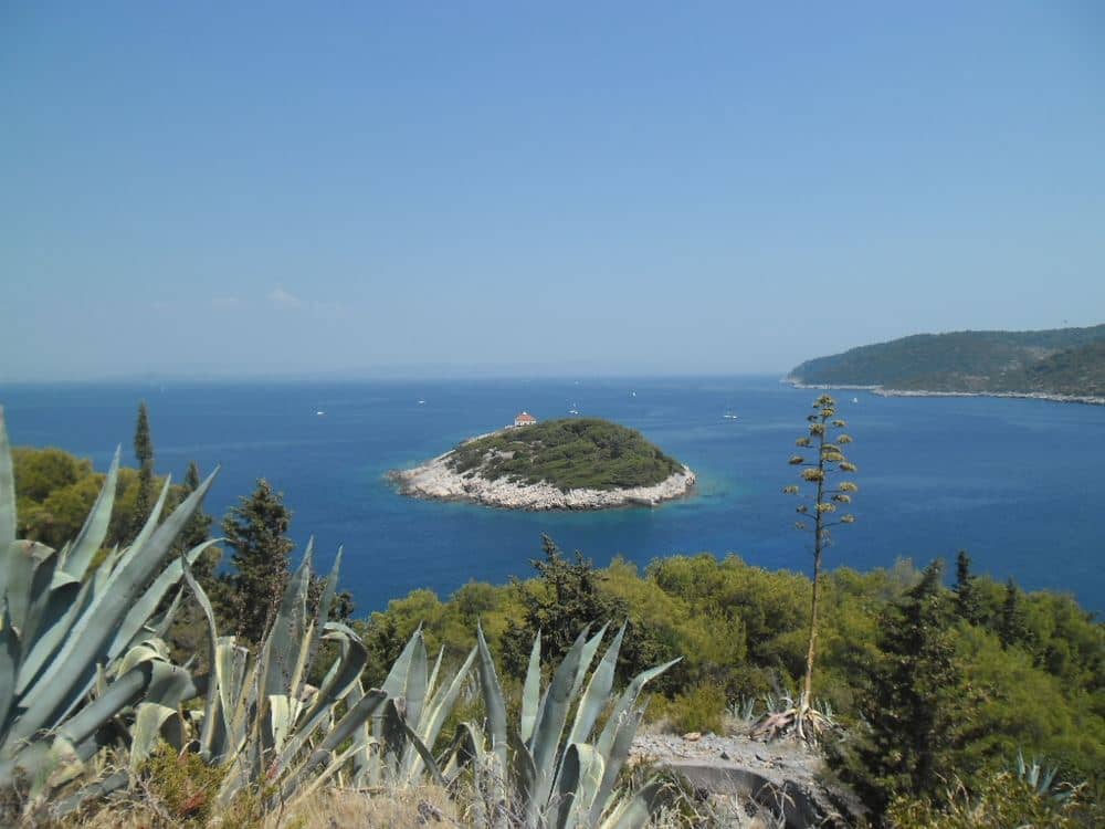 Host Island
