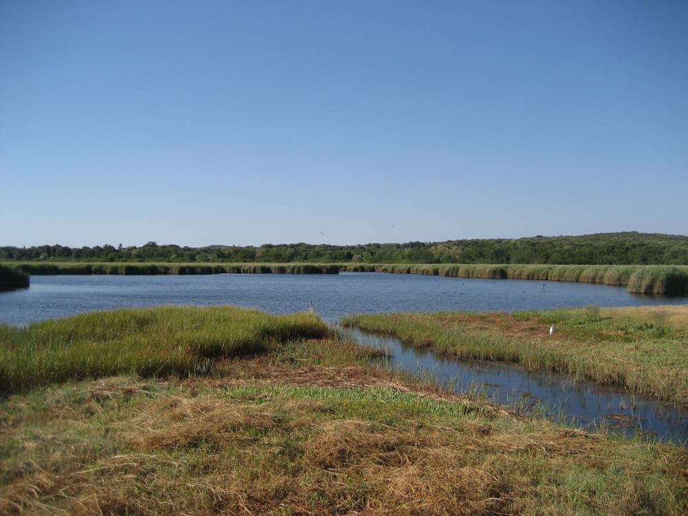 Palud Ornithological Reserve