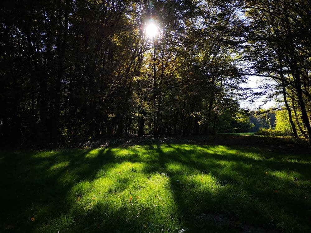 Maksimir Park