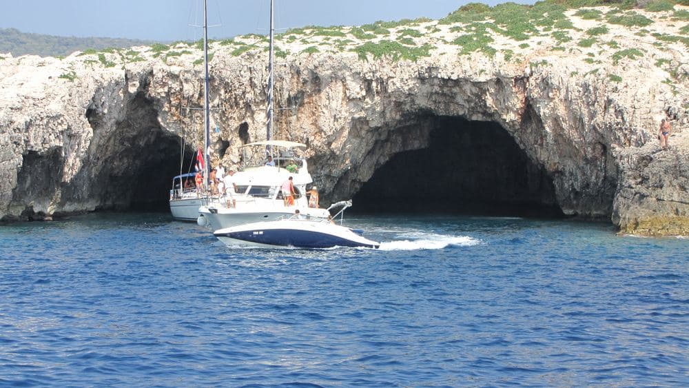 Vis