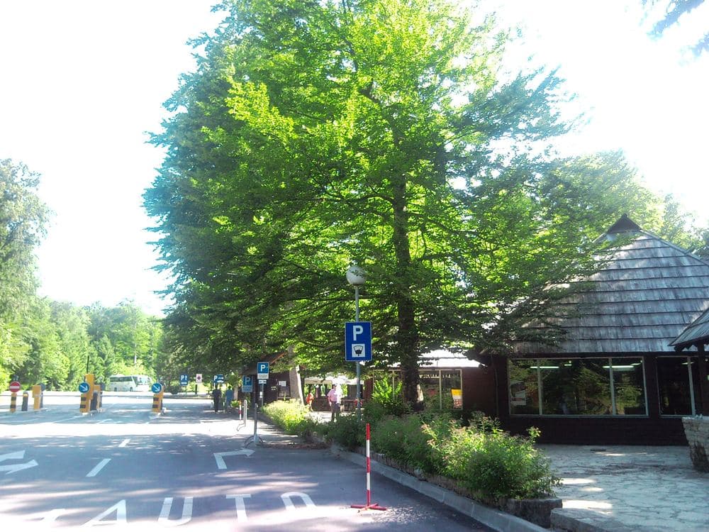 Entrance 2 Hladovina