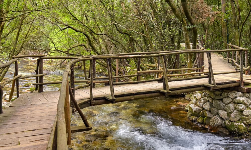 Ljuta River