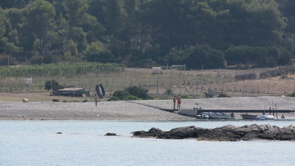 Budikovac Island