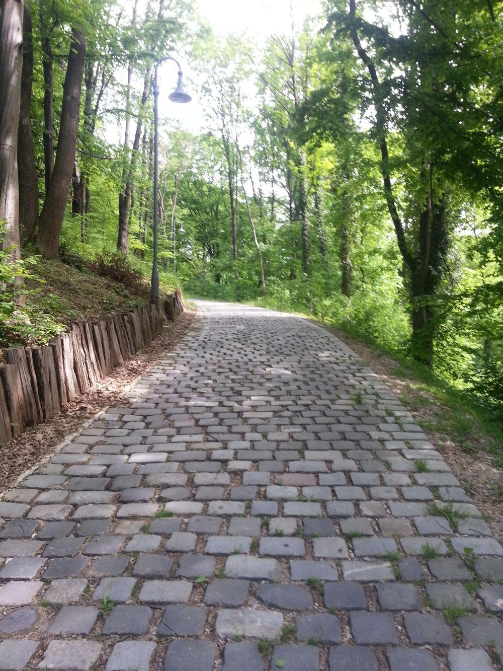 Tuškanac & Dubravkin Put