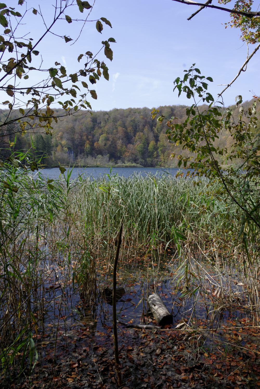 Krčingrad