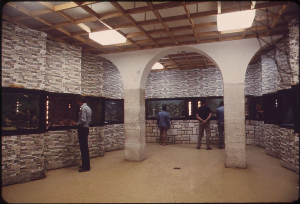 Aquarium Ruđer Bošković