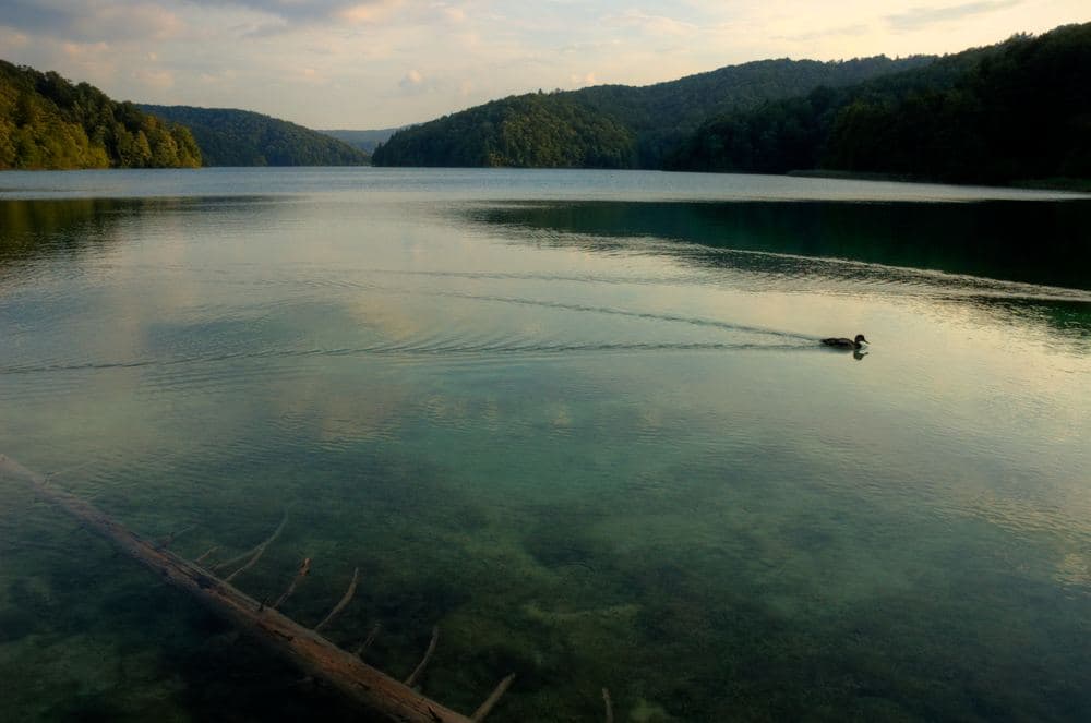 Prošćansko Lake