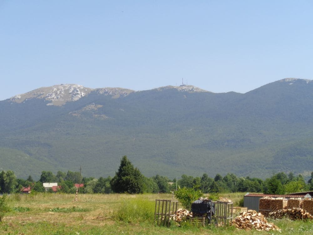 Gola Plješivica
