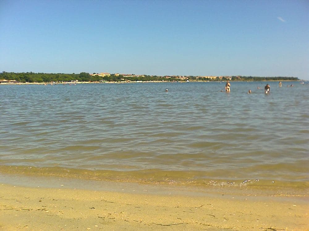 Bijeca beach (3)