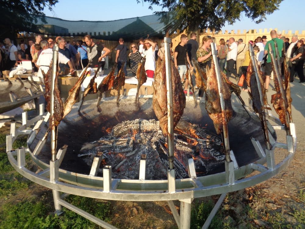 Karpfen auf gegabelten Staeben ueber offenem Feuer