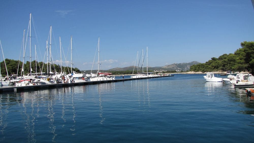 Palmižana Marina