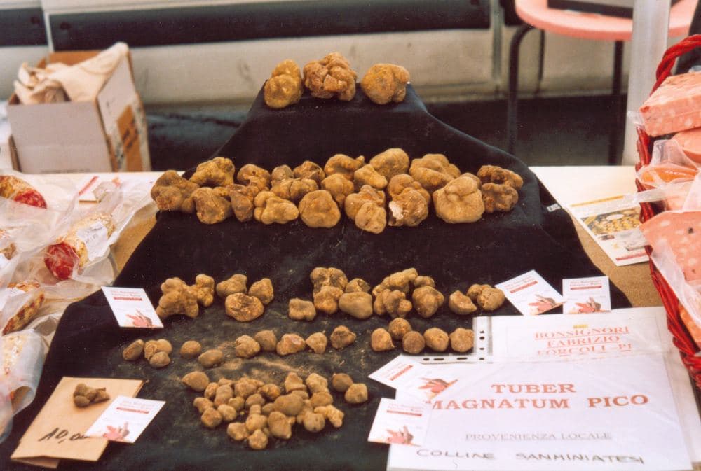 Zigante Truffle Days 2026