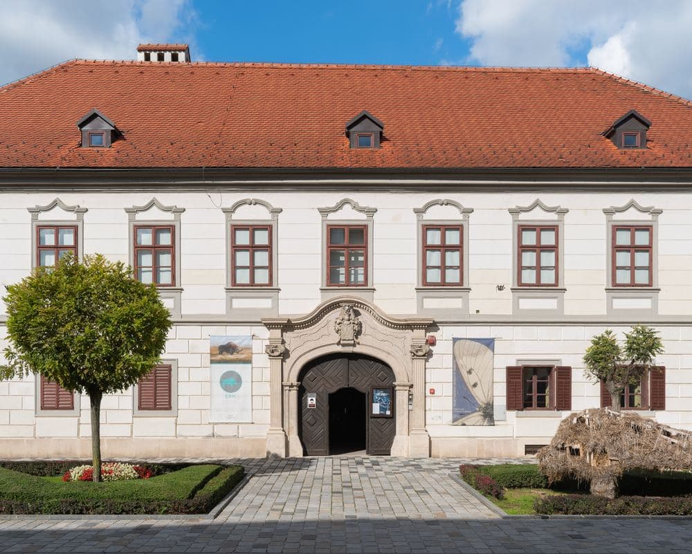Mondo degli insetti, palazzo Herzer (2)