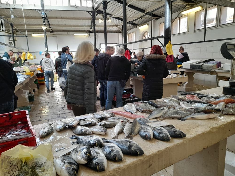 Fish Market