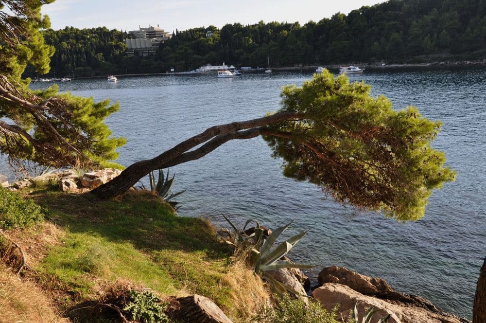 Ključice Beach