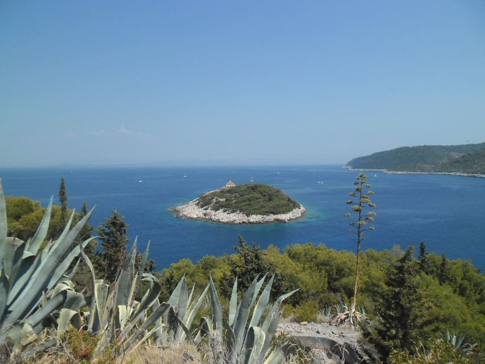 Host Island