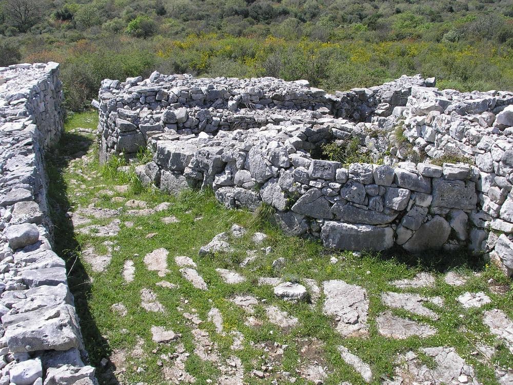 Monkodonja Hillfort