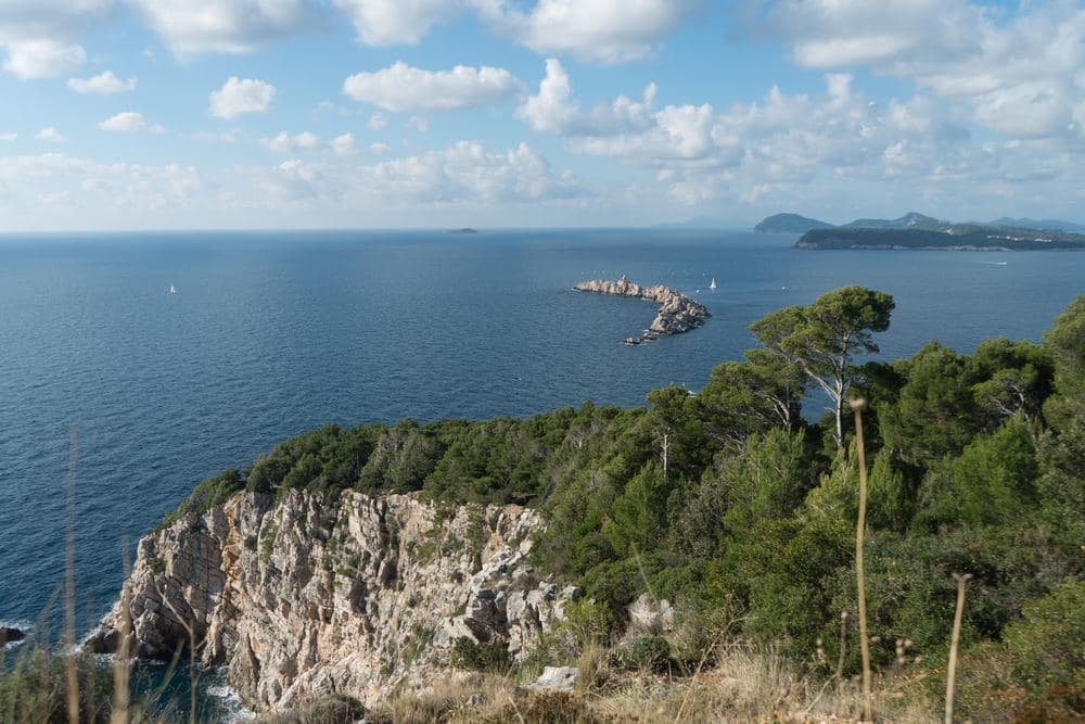 Petka Forest Park