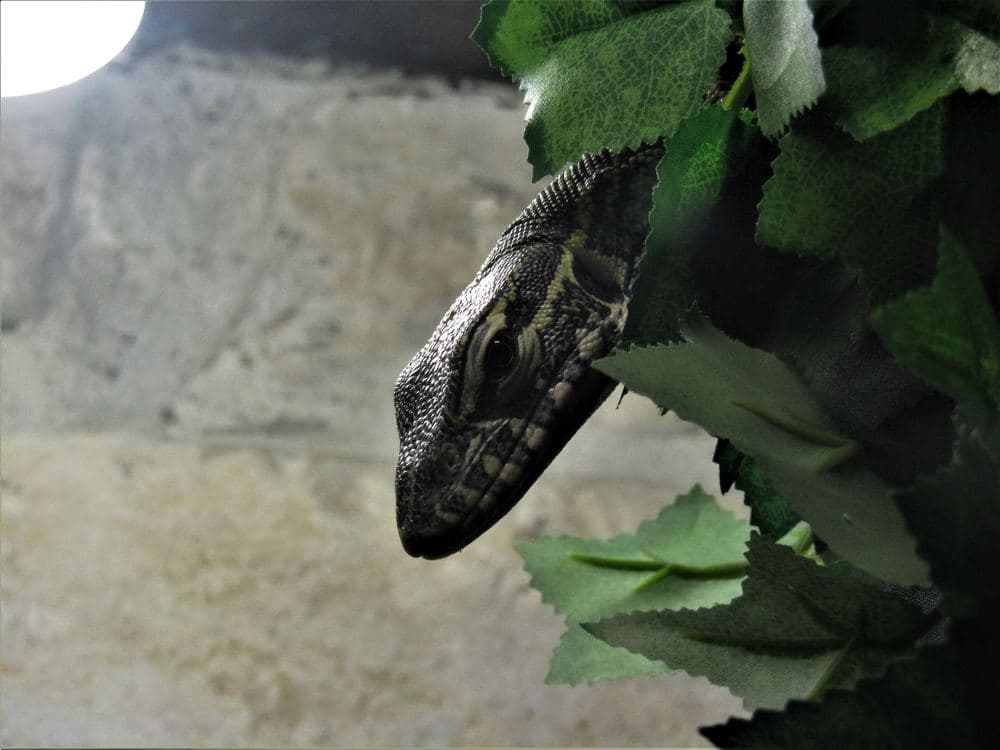 Aquarium Terrarium Šibenik