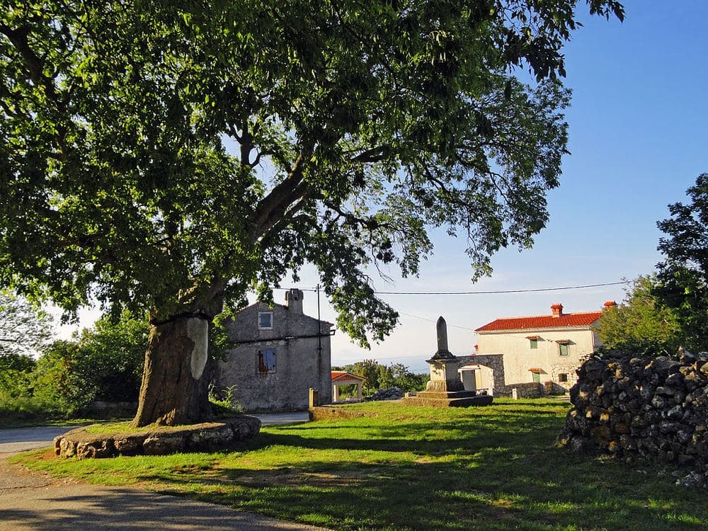 Skitača (2)
