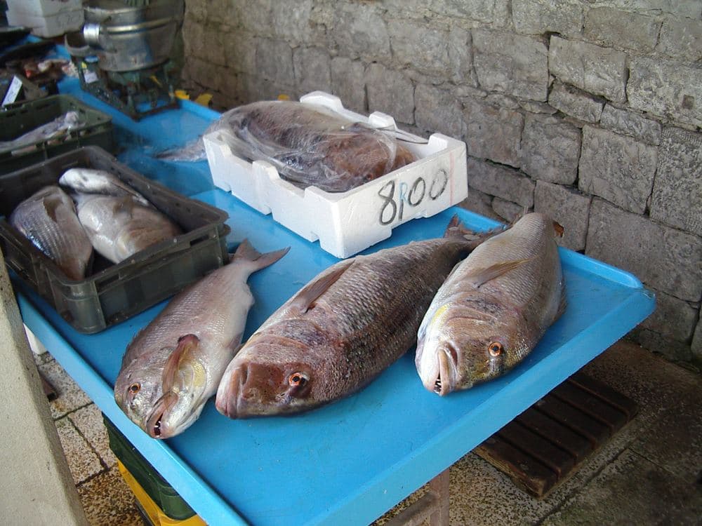 Trogir Fish Market
