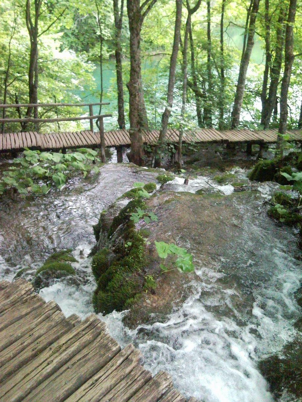 Plitvica Selo