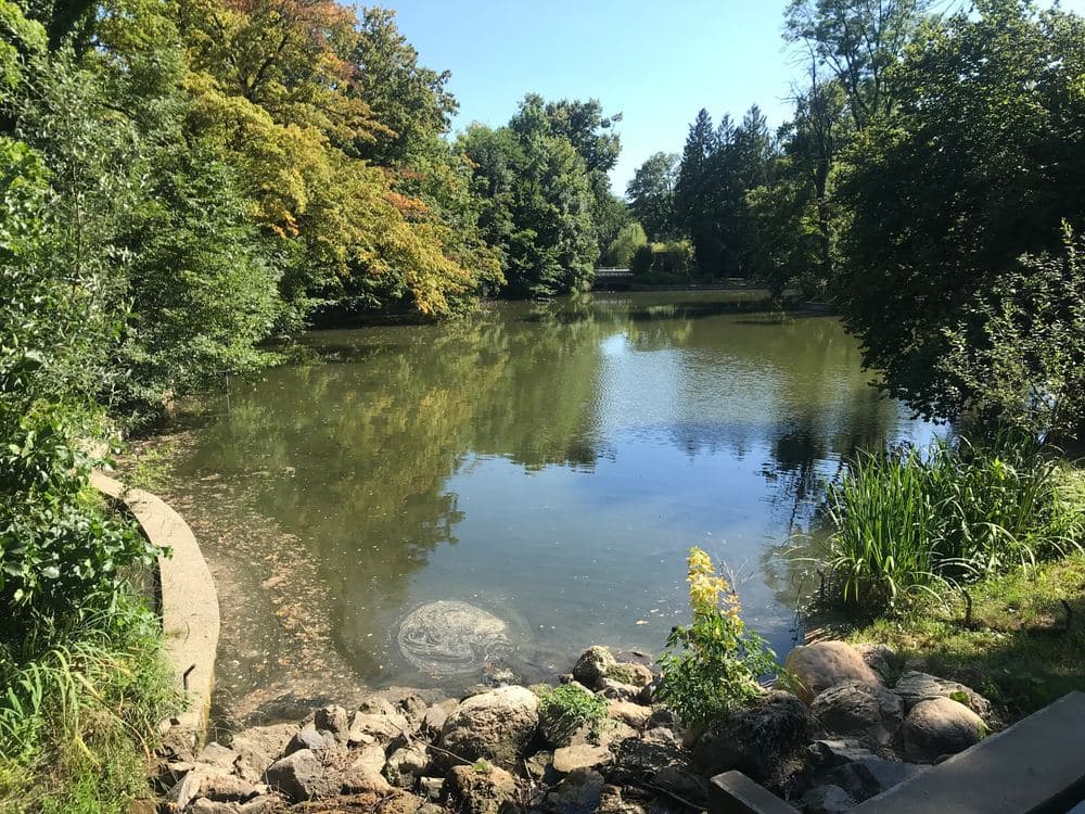 Laghi di Maksimir