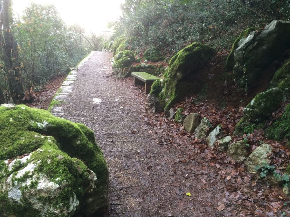 Carmen Sylva Forest Promenade