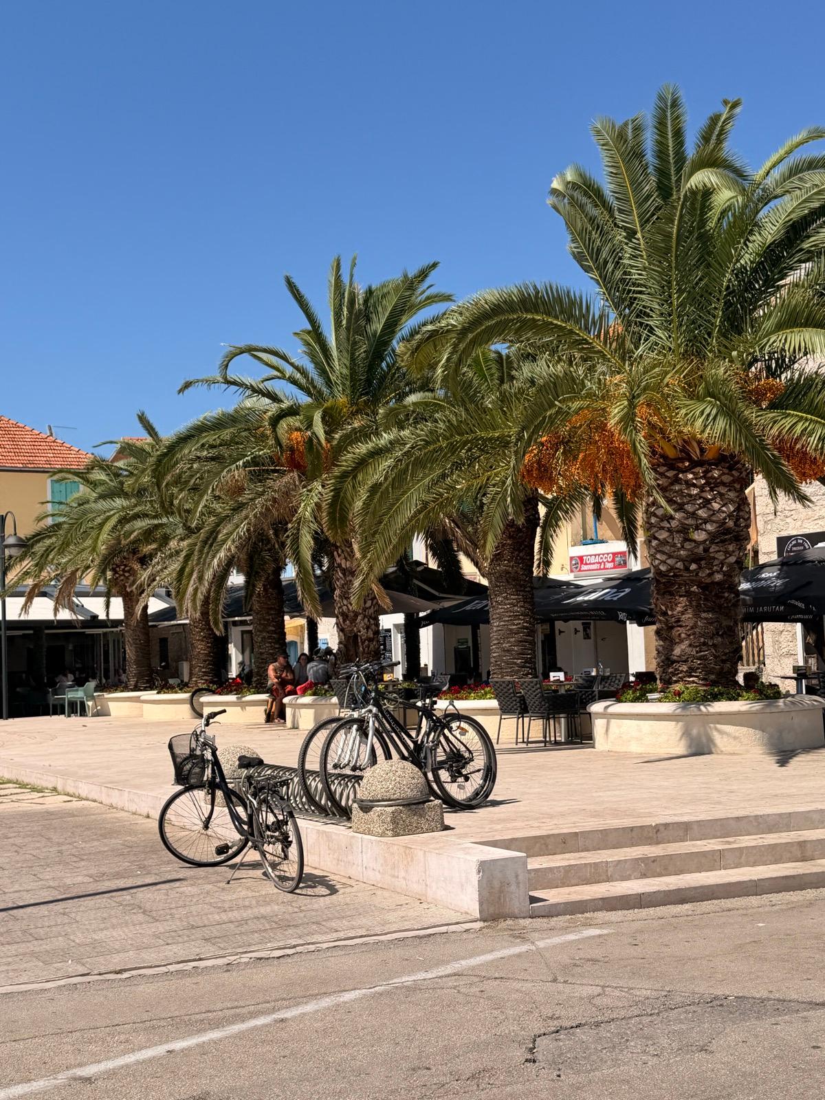 La riva (2)