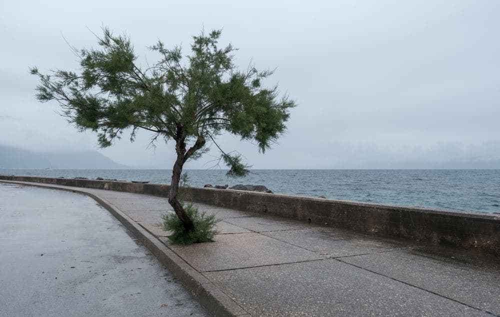 Sućuraj Harbour