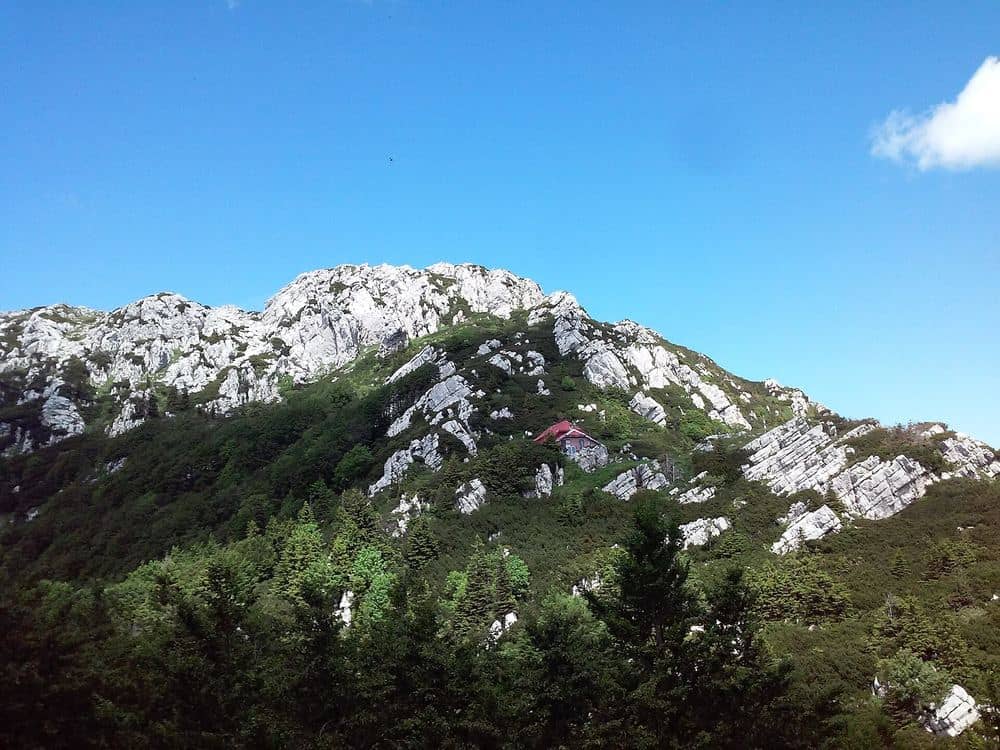 Risnjak National Park: trails, tickets and a peak above the sea
