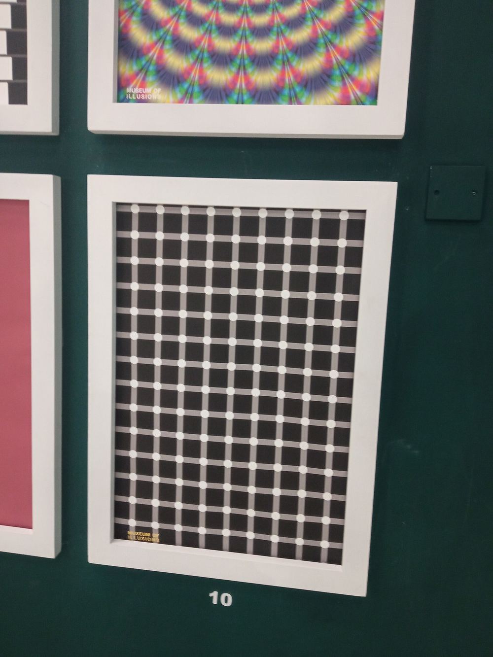 Museum of Illusions