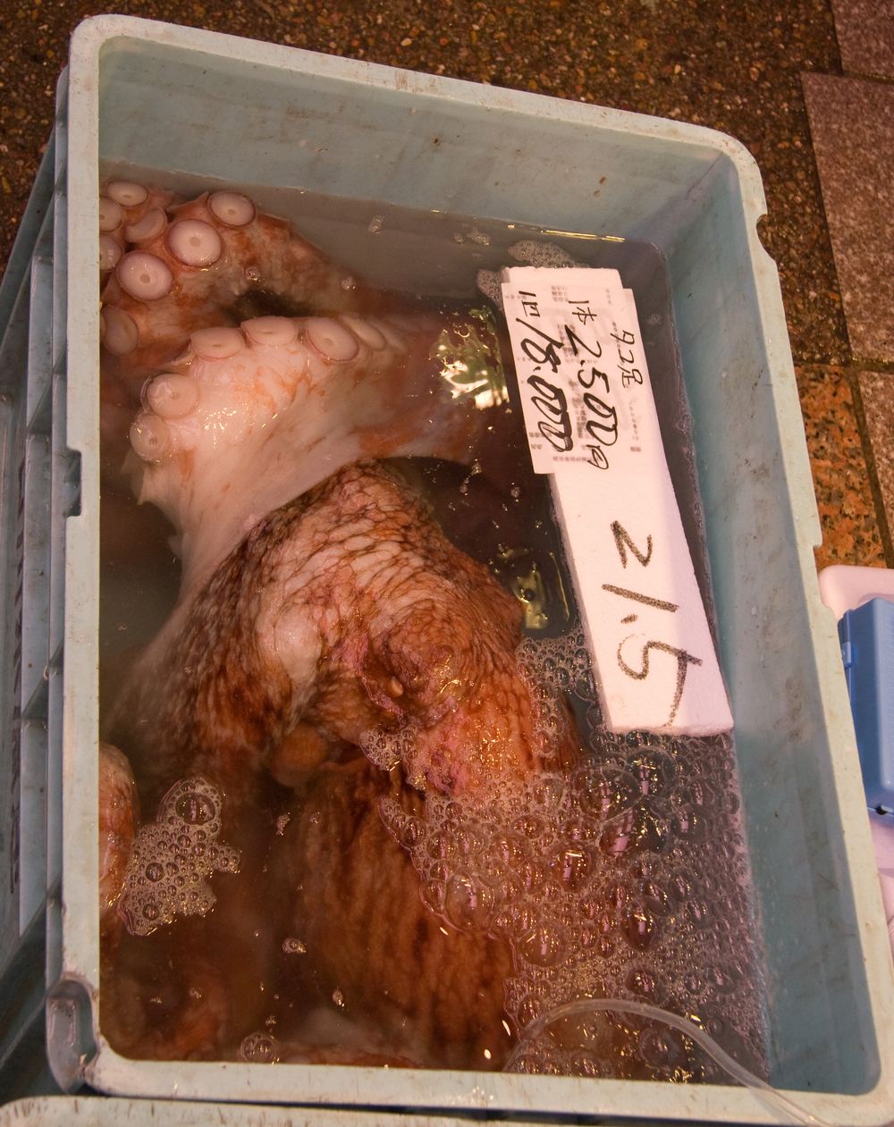 Omiš Fish Market