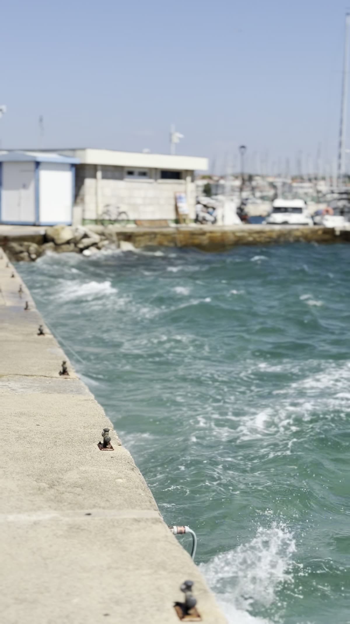 The mole and the marina